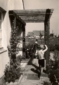 Reichsgartenschau 1939 auf dem Killesberg, Stuttgart Siedlungshäuser, Pergola