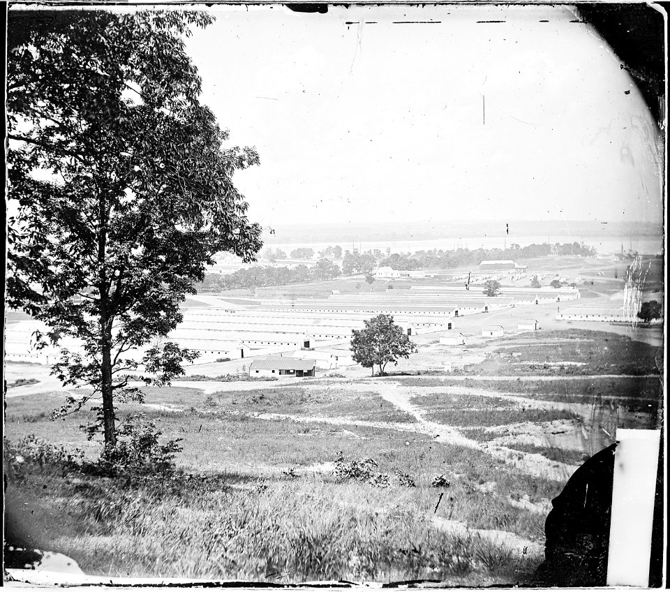 Remount Station, Giesboro, D.C. Capacity 30,000 animals - NARA - 530244
