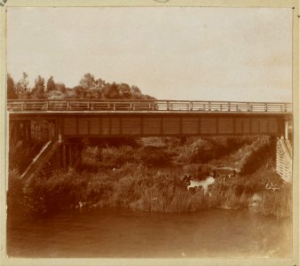 Remains of French pile bridge over Koloch river near Gorki. Borodino, 1911, Prokudin-Gorsky
