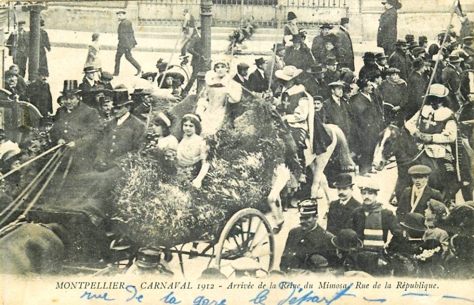 Reine du mimosa Montpellier