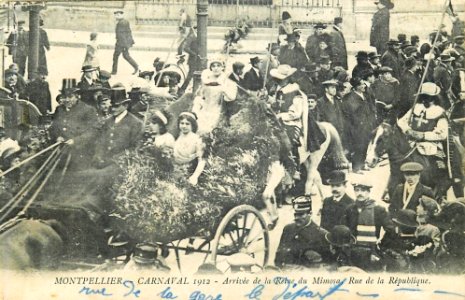 Reine du mimosa Montpellier