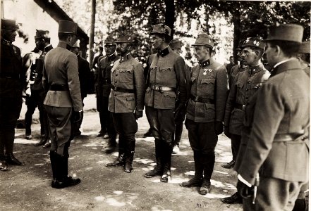 Reise Ihrer Majestäten a.d.Isonzofront, Istrien, Kärnten, Vorarlberg. 1-6.VI.1917. (BildID 15565254)