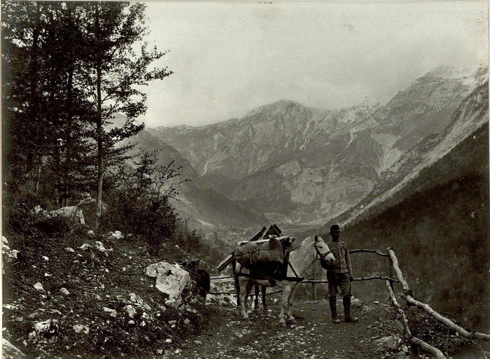 Reitweg im Diminkatal. (BildID 15461364)