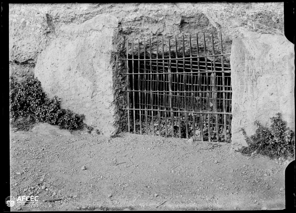 Reixa al camí de la Santa Cova de Montserrat (AFCEC MORELLO A 7603)