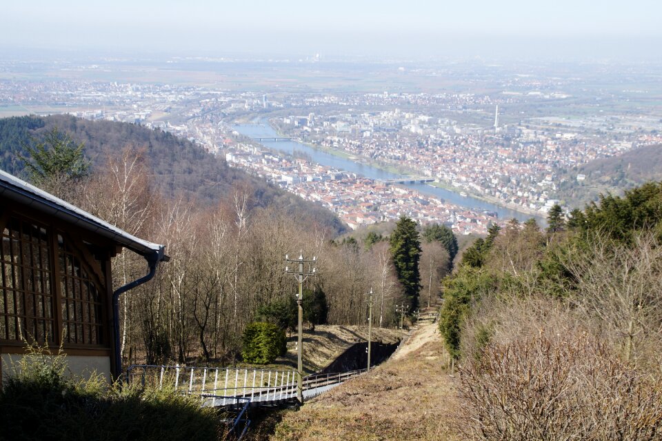 Tree landscape mountain railway