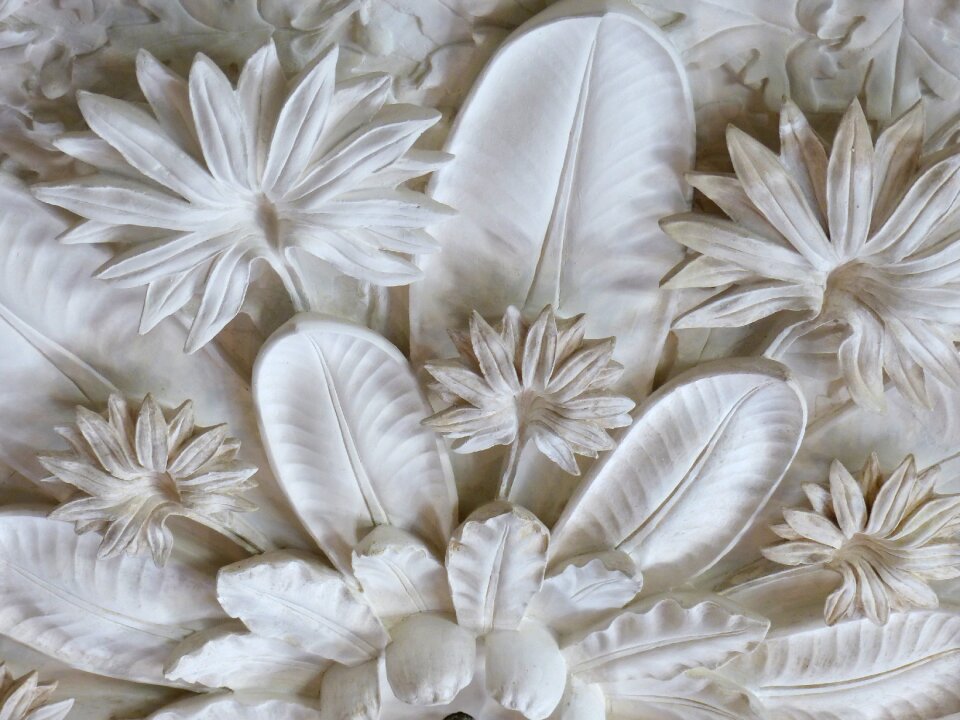 Decoration ceiling plants