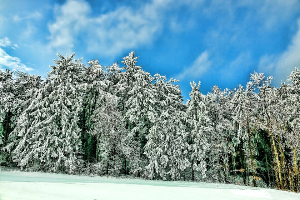 Season wood schönwetter