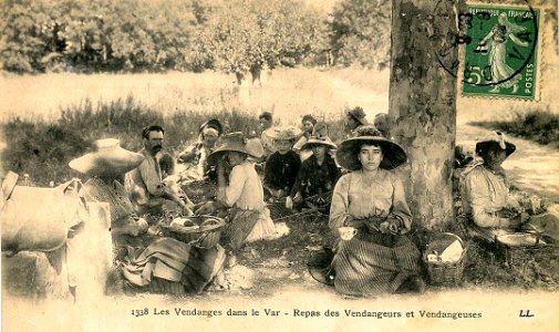 Repas de vendanges dans le Var Draguignan