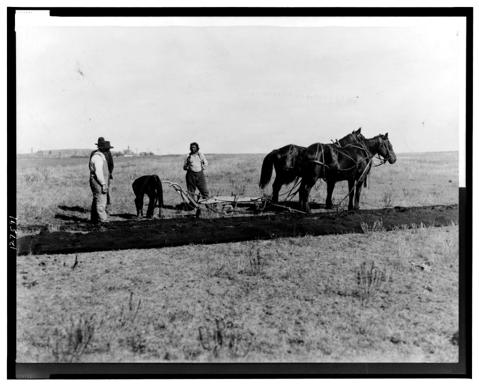 Representing John Christiansen doing his first brakeing (sic) on his homestead in May 1883 LCCN2001695040