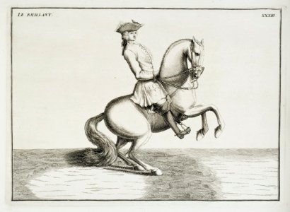 Repro ur Le Manége Moderne - Livrustkammaren - 86572