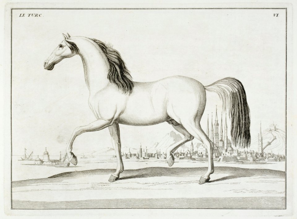 Repro ur Le Manége Moderne 1740 - Livrustkammaren - 86565
