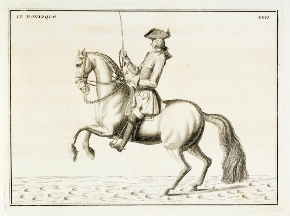 Repro ur Le Manége Moderne Eisenberg 1740 - Livrustkammaren - 86567