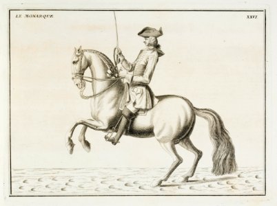 Repro ur Le Manége Moderne Eisenberg 1740 - Livrustkammaren - 86567