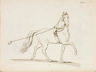 Repro ur Military Equitation - Livrustkammaren - 86559