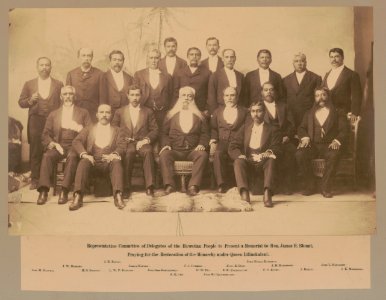Representative Committee of Delegates of the Hawaiian People to present a memorial to Hon. James H. Blount, praying for the restoration of the monarchy under Queen Liliuokalani LCCN89709348