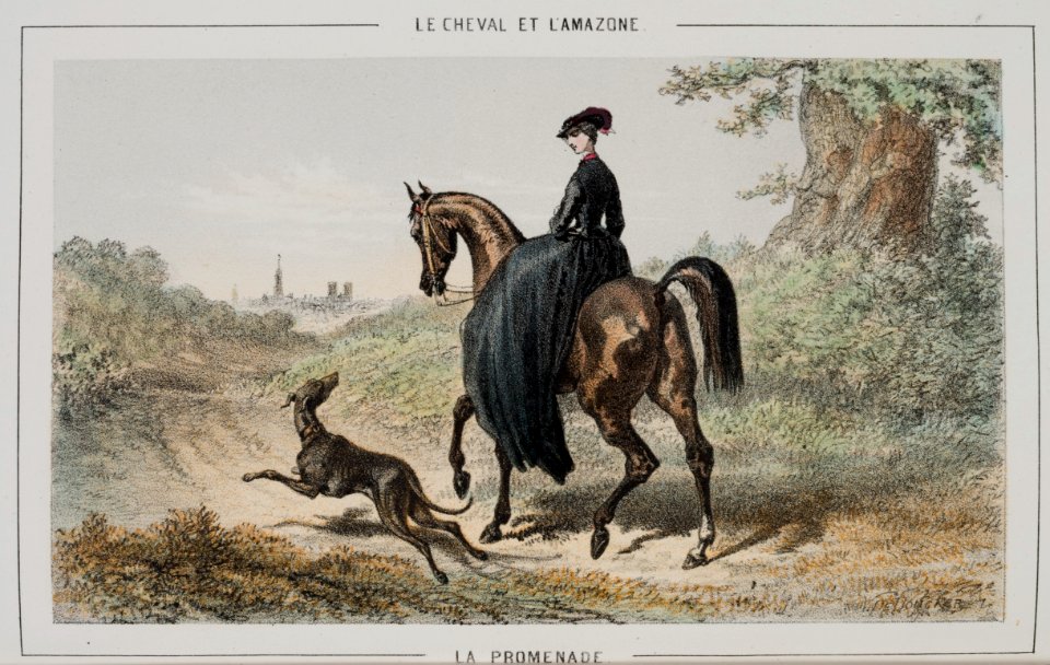 Repro ur Le Cheval et L´amazone - Livrustkammaren - 86555