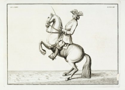 Repro ur Le Manége Moderne - Livrustkammaren - 86569