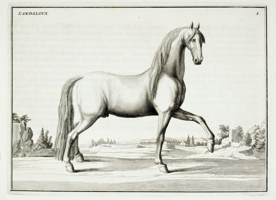 Repro ur Le Manége Moderne - Livrustkammaren - 86575
