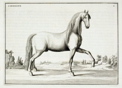 Repro ur Le Manége Moderne - Livrustkammaren - 86575