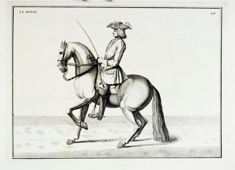 Repro ur Le Manége Moderne 1740 - Livrustkammaren - 86570