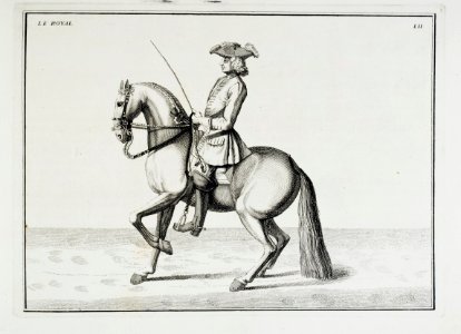 Repro ur Le Manége Moderne 1740 - Livrustkammaren - 86570