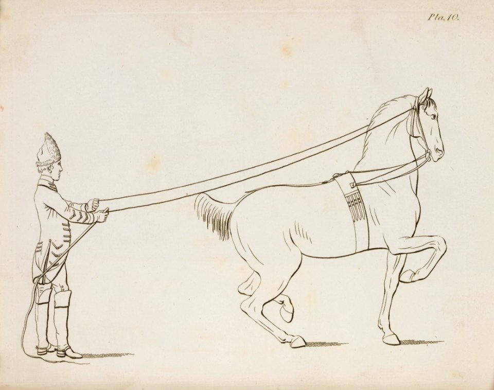 Repro ur Military Equitation - Livrustkammaren - 86561
