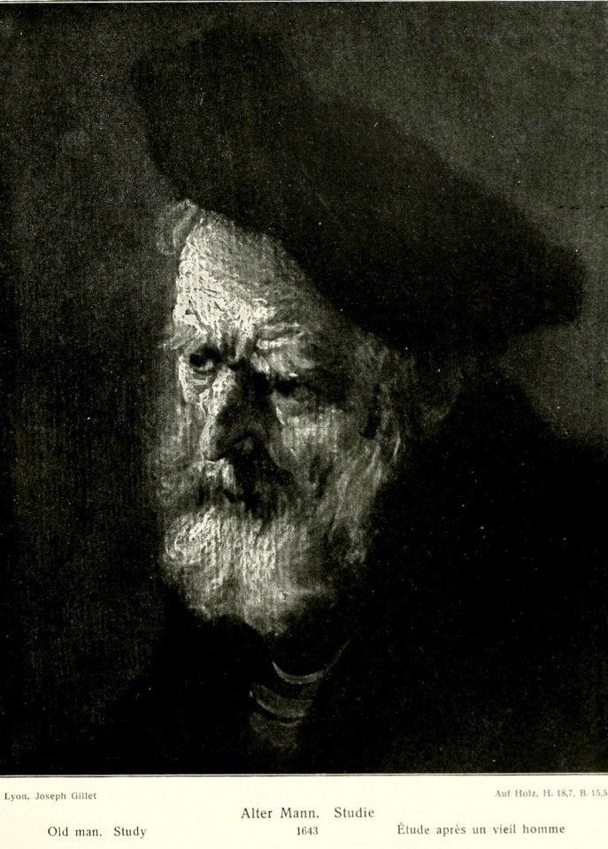 Rembrandt - Elderly Man (Study)
