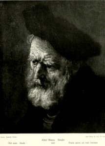 Rembrandt - Elderly Man (Study)