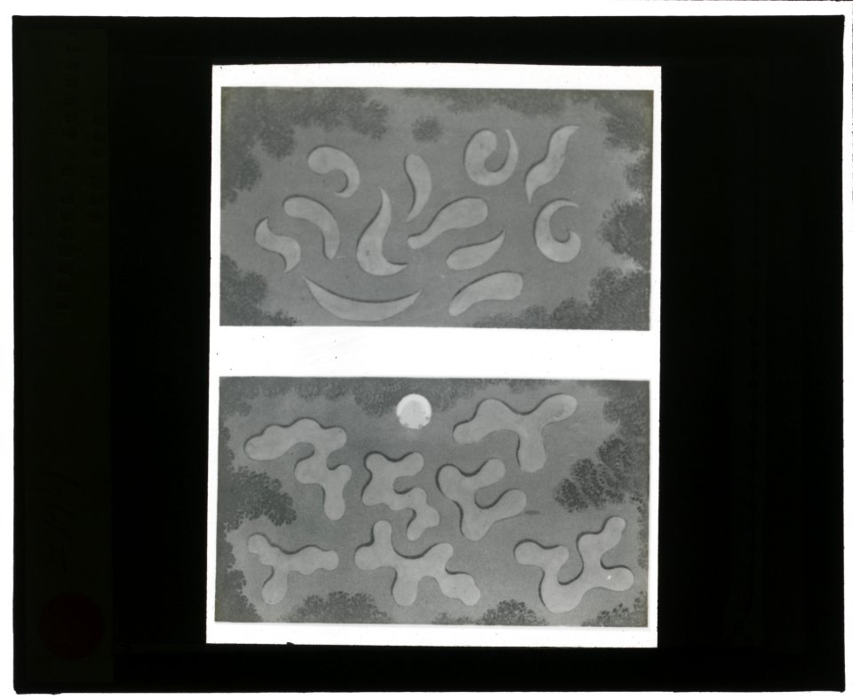 Reproduction of illustrations showing flower garden designs LCCN2007686369