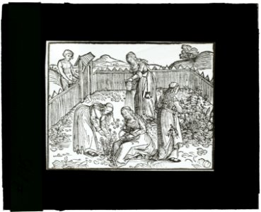 Reproduction of print showing women in a garden LCCN2007687404