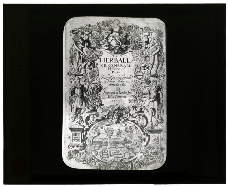Reproduction of title page for The Herball or Generall Historie of Plantes by John Norton, London, 1597 LCCN2007686351