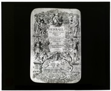 Reproduction of title page for The Herball or Generall Historie of Plantes by John Norton, London, 1597 LCCN2007686351