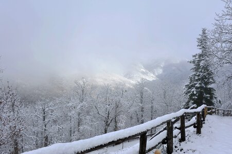 Wood frozen tuscany