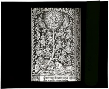 Reproduction of print showing Branch from the Rod of Jesse LCCN2008675588