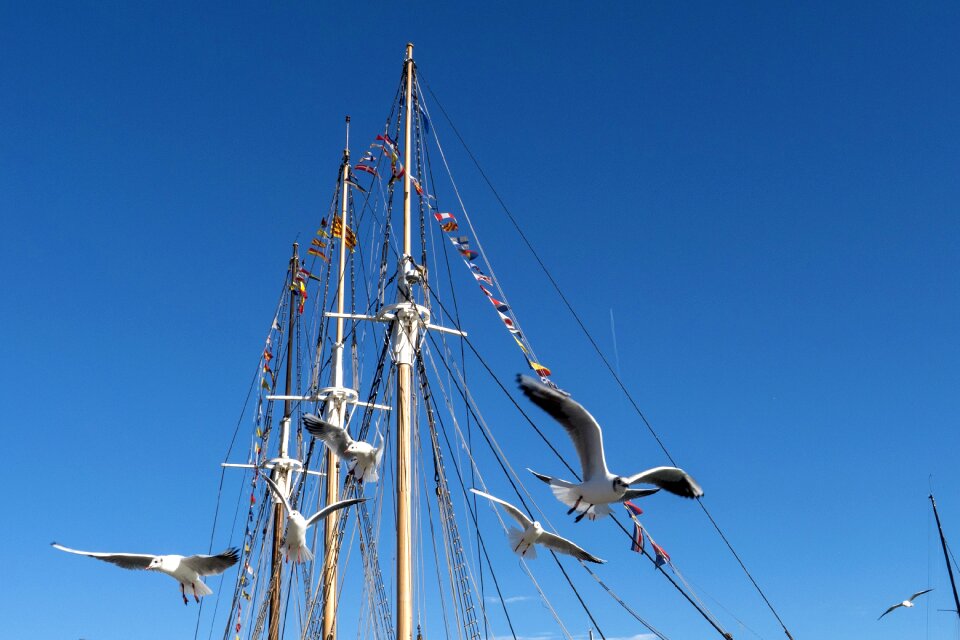 Sailboat wind mast