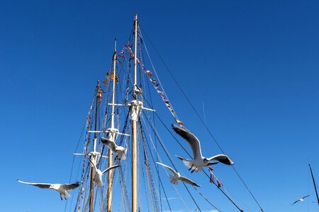 Sailboat wind mast