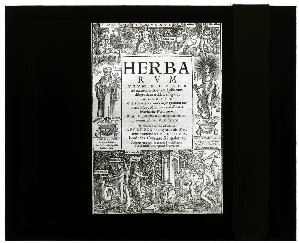 Reproduction of title page for Herbarium vivae eicones by Otto Brunfels, Strasbourg, 1530 LCCN2007686354