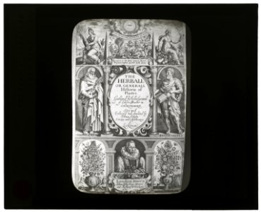 Reproduction of title page for The herball or generall historie of plantes by John Gerard, London, 1633 LCCN2007686352