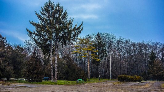 Odessa trees benches