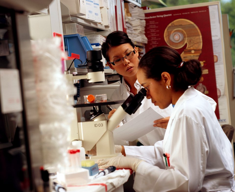 Researcher looks through microscope (1)