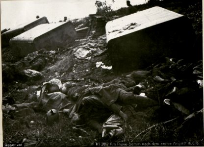 Reservat Am Piave-Damm nach dem ersten Angriff 16.6.18. (BildID 15619808)