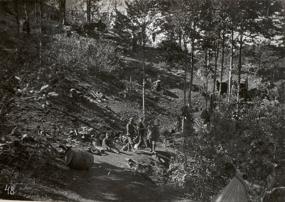 Reserve im Ternovanerwalde. 3.9.17. (BildID 15601933)