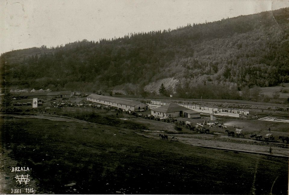 Reserve Spital, Brzaza. (BildID 15517669)