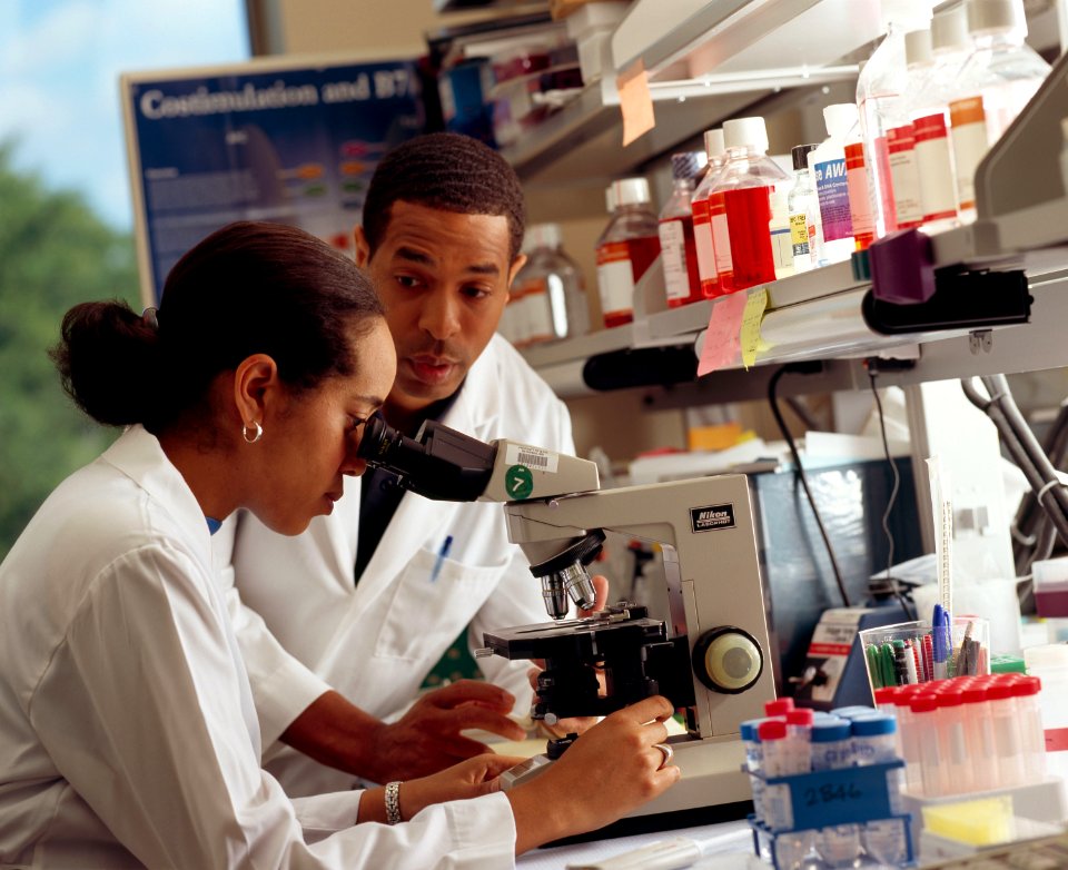 Researcher looks through microscope