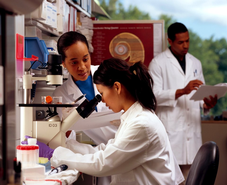 Researchers in laboratory