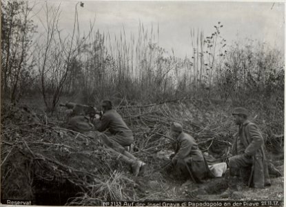 Reservat Auf der Jnsel Grava di Papadopolo an der Piave 21.11.17. (BildID 15611759)
