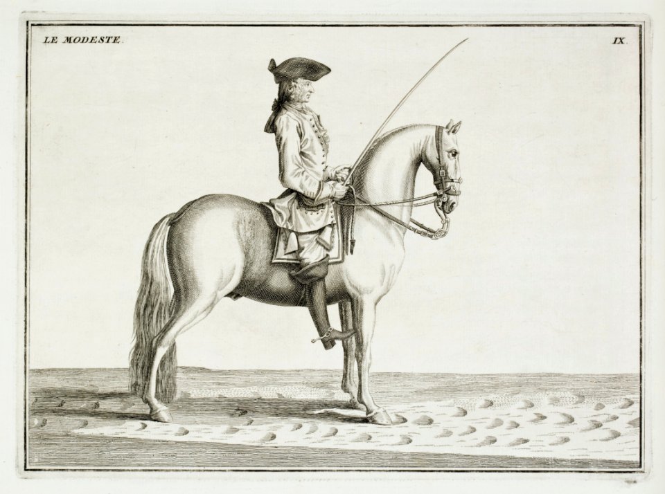 Repro ur Le Manége Moderne 1740 - Livrustkammaren - 86573