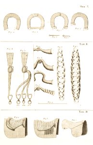 Repro ur Theoretisk cours i stallmästarevetenskapen 1813 - Livrustkammaren - 86607