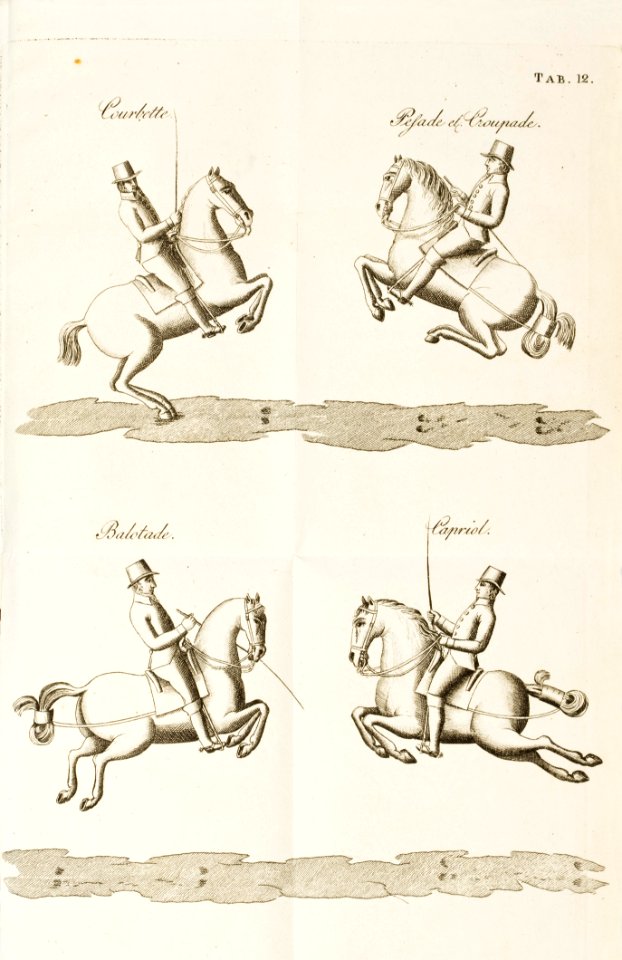 Repro. Uppslag ur: Lewin, A E: Theoretisk cours i stallmästarevetenskapen. Utgiven i Stockholm 1813 - Livrustkammaren - 86606