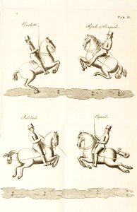 Repro. Uppslag ur: Lewin, A E: Theoretisk cours i stallmästarevetenskapen. Utgiven i Stockholm 1813 - Livrustkammaren - 86606
